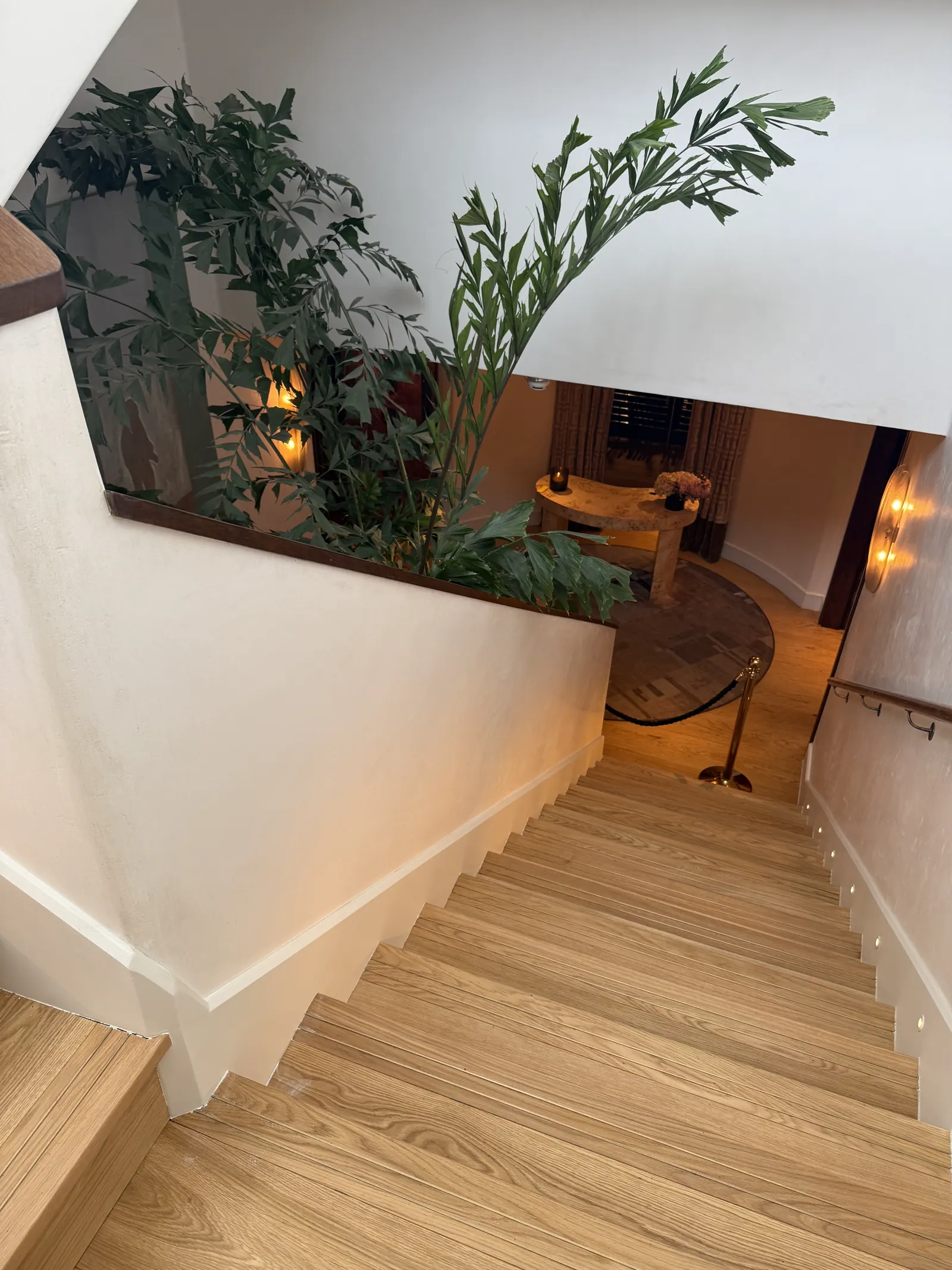 Tadelakt plastered staircase wall in a London interior