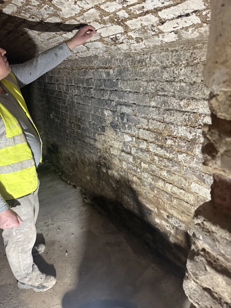 Exposed cellar brickwork before treatment, London