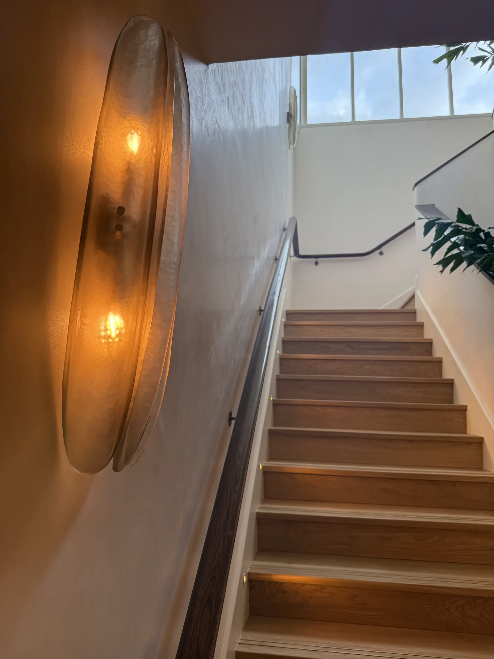 Wall light against a polished tadelakt wall showing surface sheen